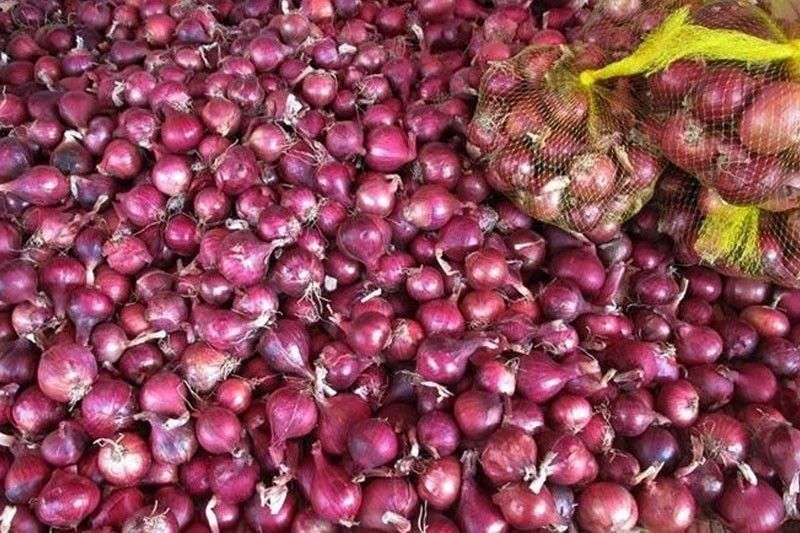 Prices of red onions down to P70 a kilo