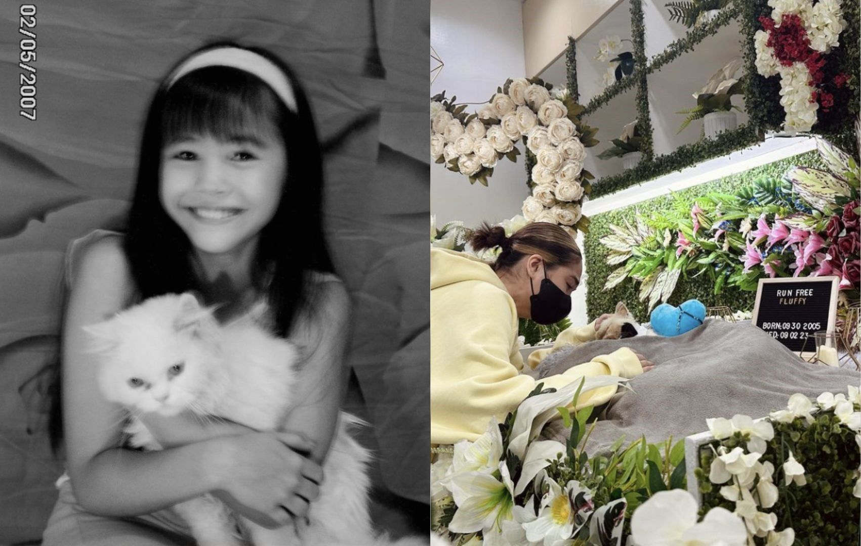 'Pets deserve to live longer lives': Janella Salvador mourns death of another pet cat