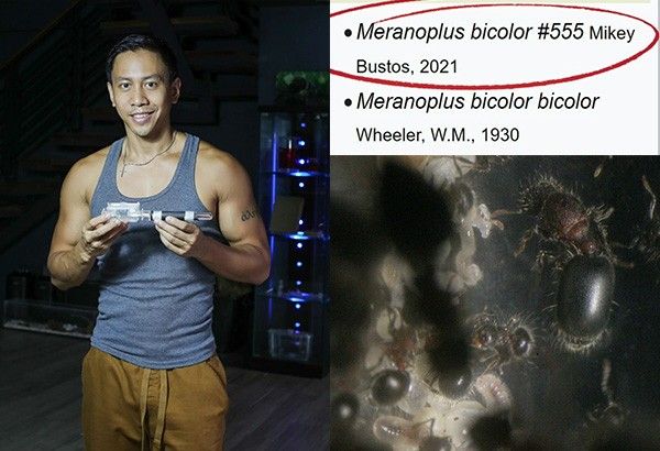 Fil-Canadian YouTuber Mikey Bustos gets credit for ant species discovered in his yard
