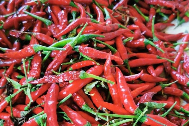 Metro Manila chili prices soar to P800 per kilo
