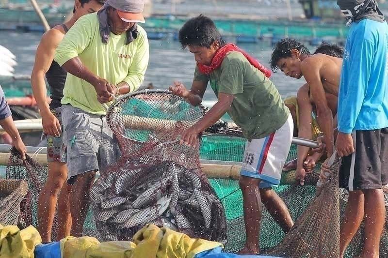 5 mangingisda nasagip sa karagatan ng Romblon