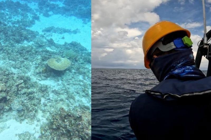 Corals sa Rozul reef nilimas ng China - AFP