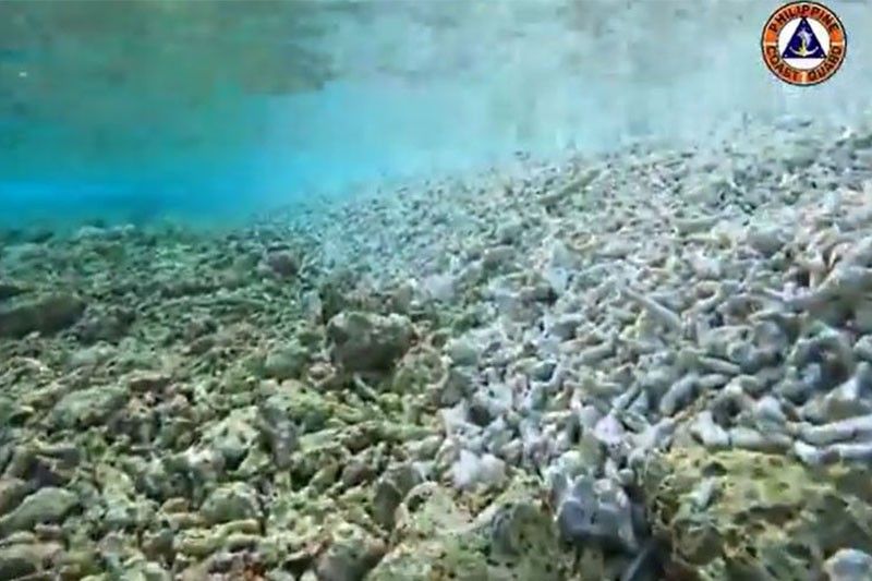 Underwater surveys show reef damage in Rozul Reef, Escoda Shoal â�� Coast Guard