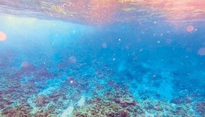 DOJ: China kasuhan sa &lsquo;coral harvesting&rsquo;