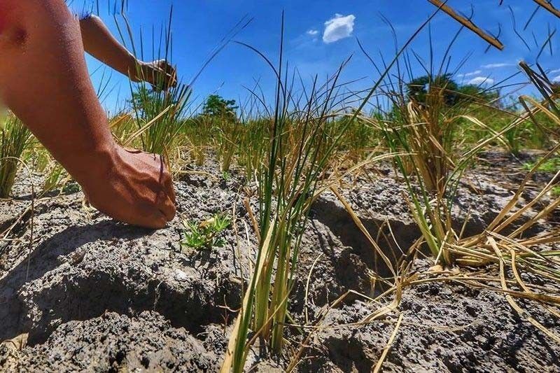 85.95% of LGUs complete climate change plans
