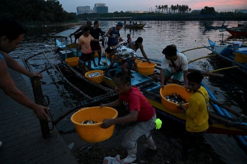 Small-scale fishers worry as Marcos eyes ban