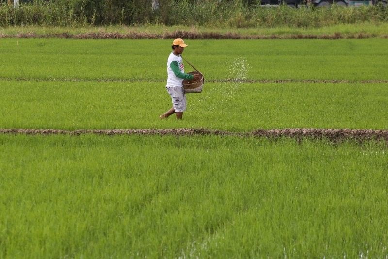 Marcos certifies as urgent bill imposing tougher penalties vs agri economic sabotage