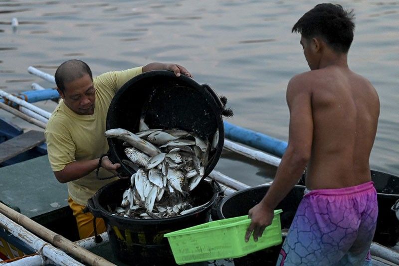 No fishing ban in gov't plans, Marcos clarifies