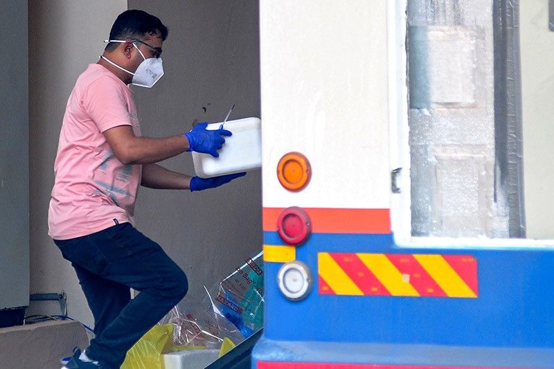 DOH: No presence of Nipah virus in Philippines