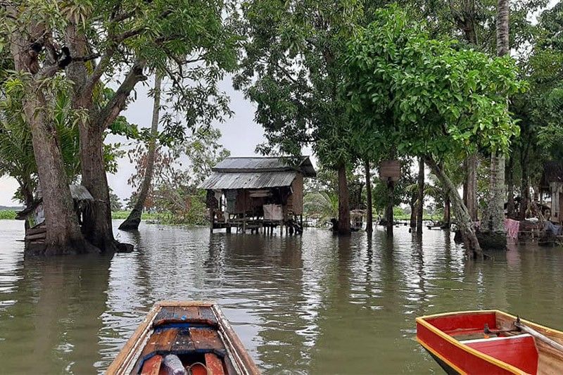 Palace, BARMM urged to protect Liguasan Deltaâ��s ecosystem