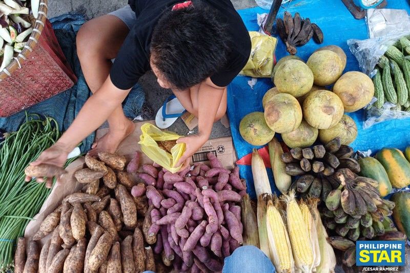 74% ng Pinoy no. 1 pinoproblema pagkontrol sa inflation â�� Pulse Asia