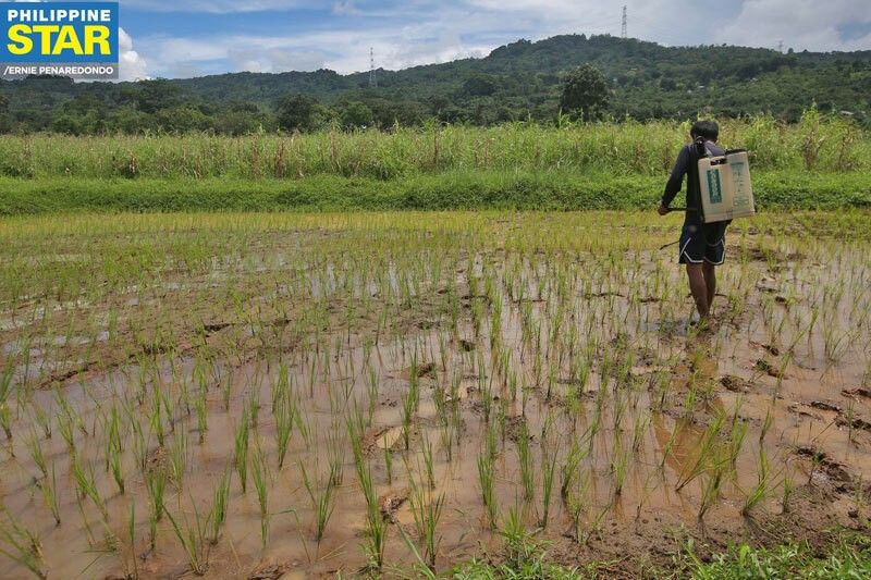 â��Be wary of El NiÃ±o effects on rice supplyâ��