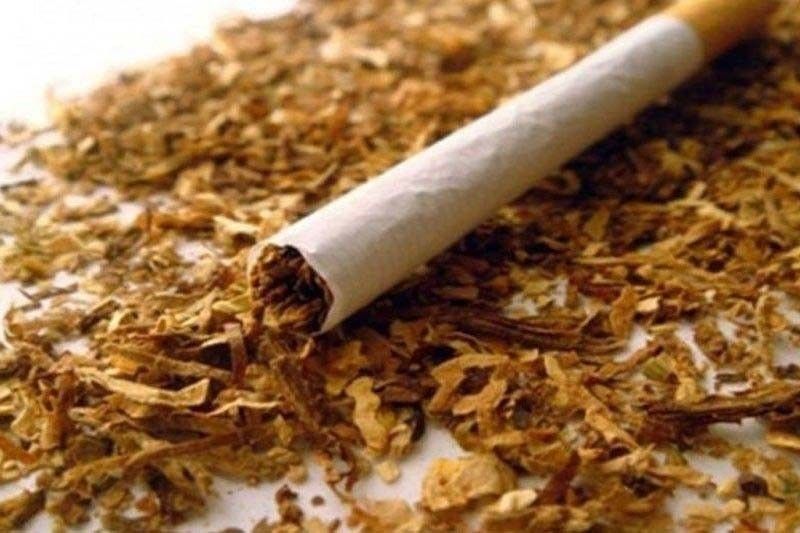 Revenue losses from illicit cigarettes to rise to P43 billion