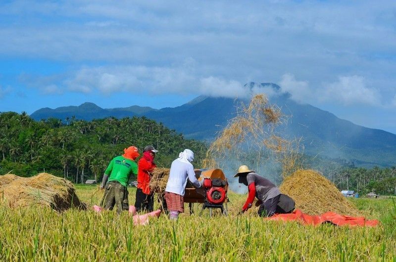 North Luzon farmers cite better harvest income