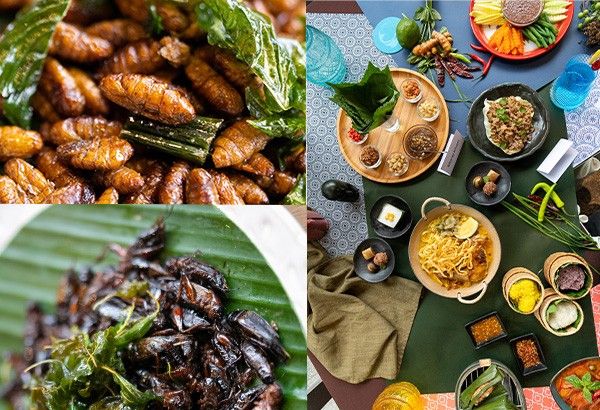 Silkworms, crickets pleased palates at Mango Treeâs Chiang Mai menu launch