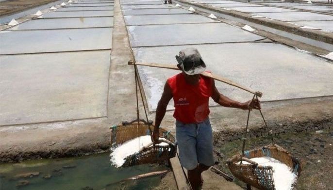 Speedy passage sought for Salt Industry Development Act