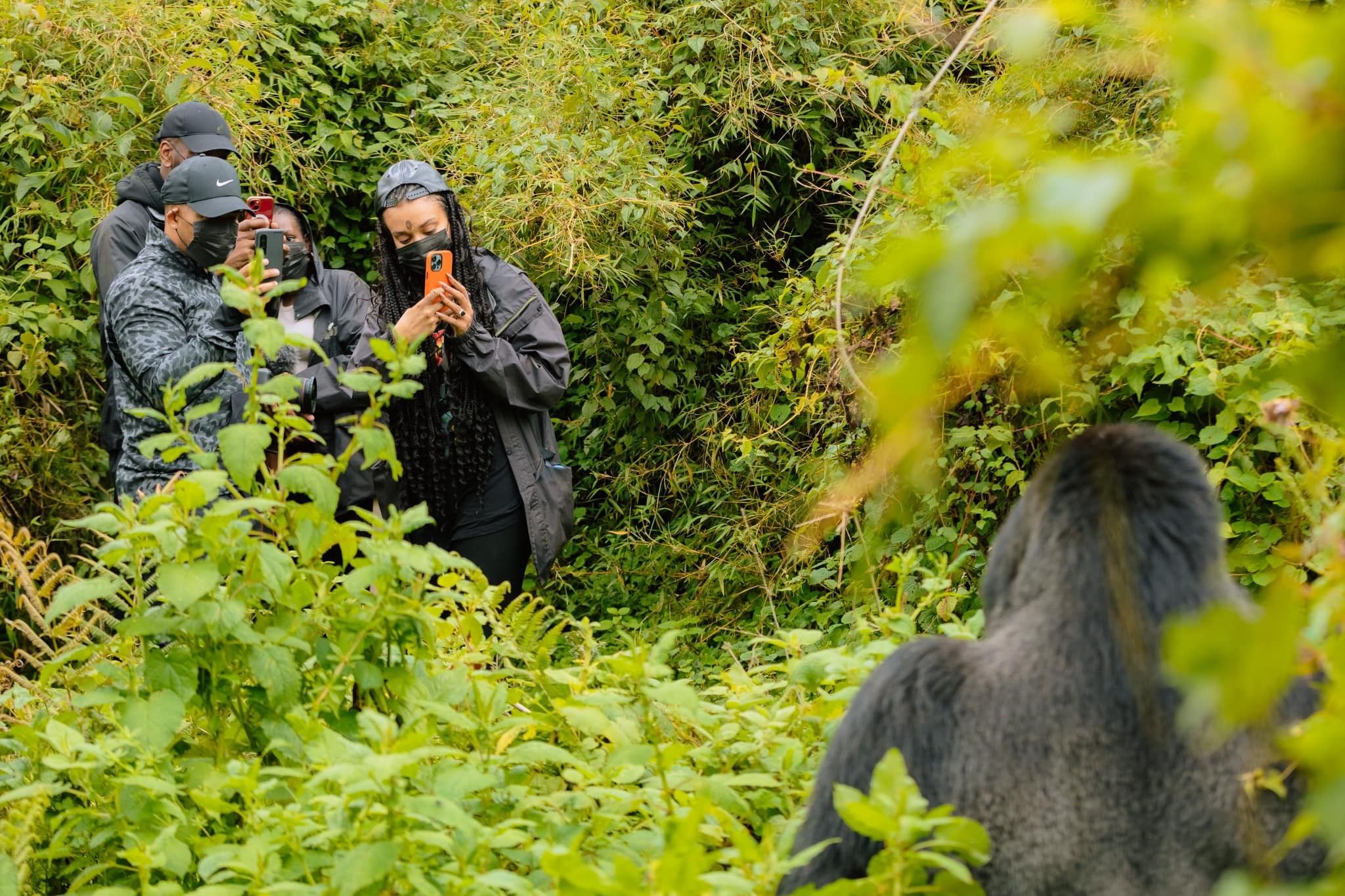 Released/Visit Rwanda