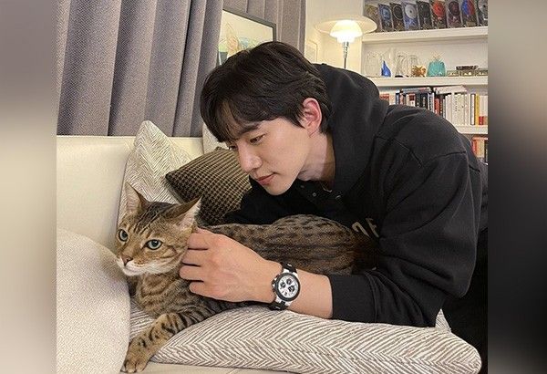 'Cat dad' Lee Junho reveals what he would say to his cats if he can talk to them