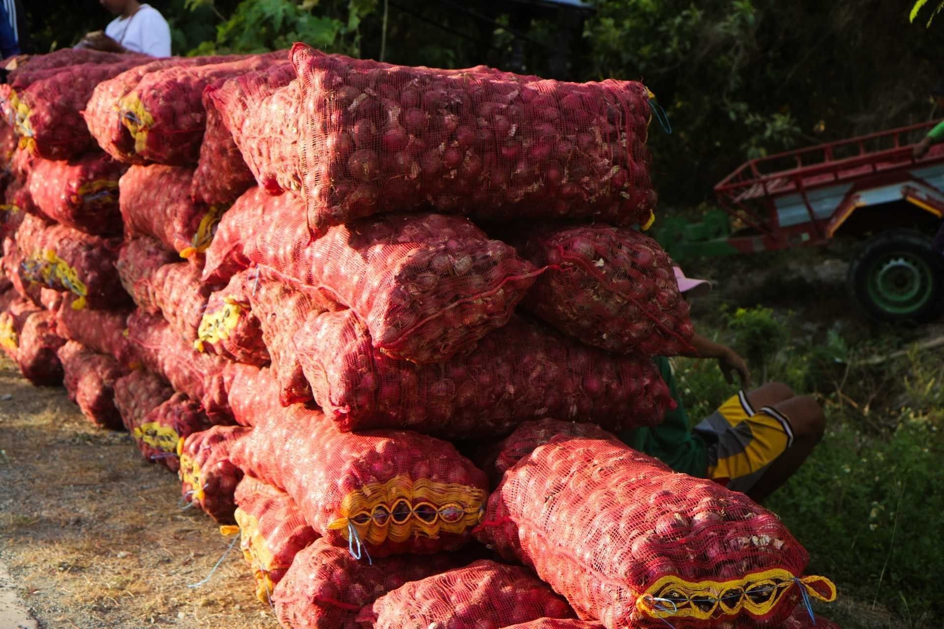 Big-time onion smuggler naaresto sa Batangas â DA