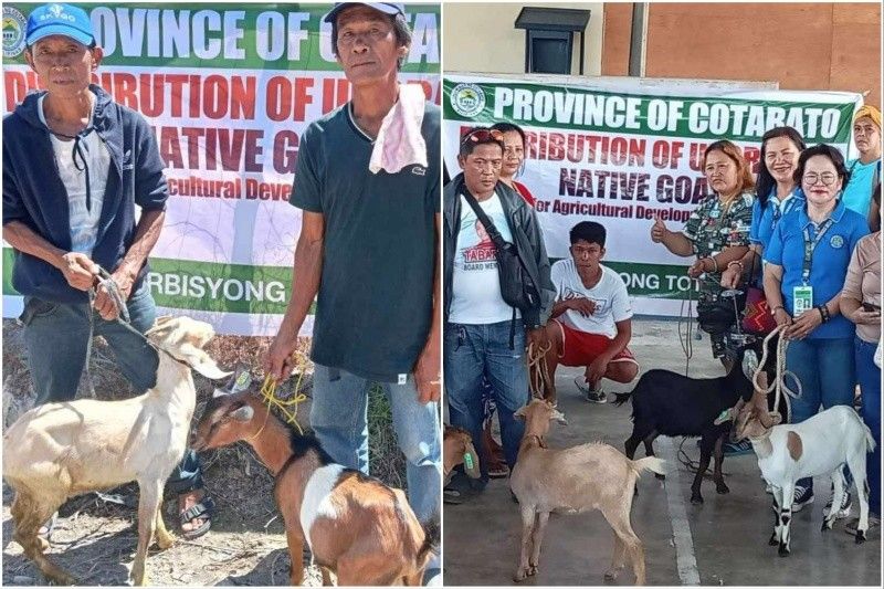 Cotabato farmers receive livestock for breeding