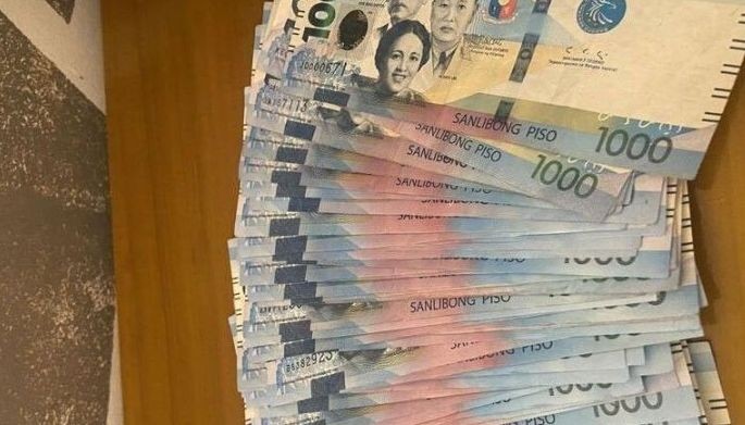 Ecozone projects, investments on the rise