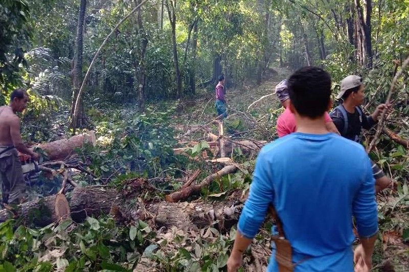 Trees, power posts felled; houses in Basilan damaged by winds