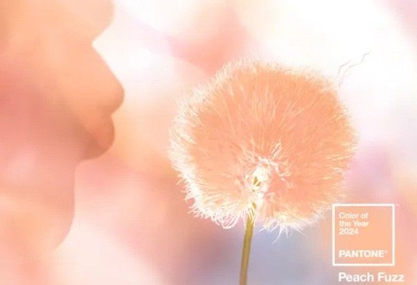 Pantone names Peach Fuzz as 2024 Color of the Year