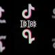 Trump says Microsoft in discussions to acquire TikTok