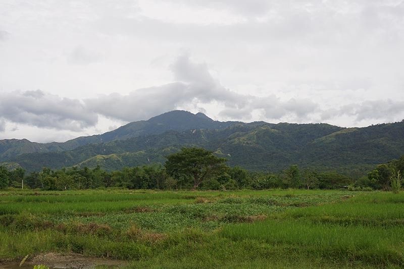 Barangay rangers at frontlines of protecting Ilocos Norteâ��s forests