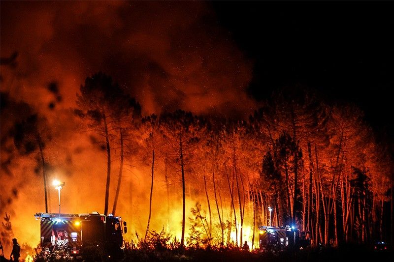 Forest fires: a record year