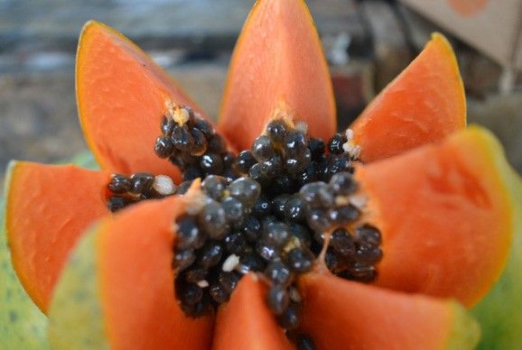 Papaya is a superfruit! Here are its benefits...