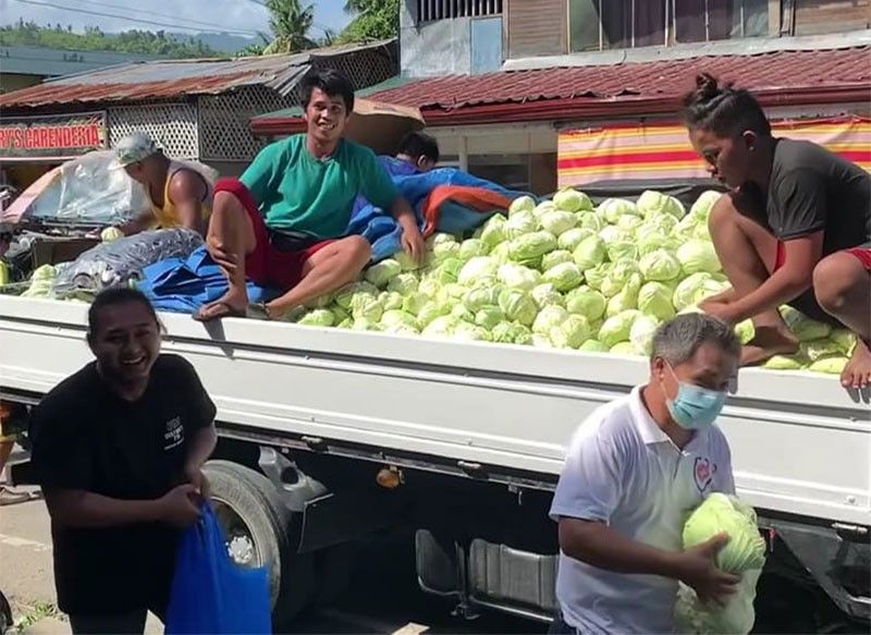 Cebu experiencing cabbage oversupply