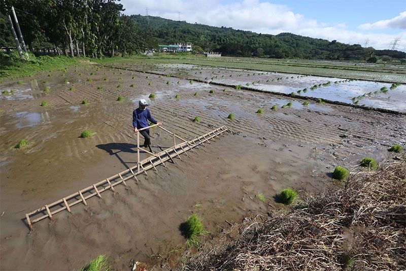 Agriculture growth seen at below 3 percent in 2023