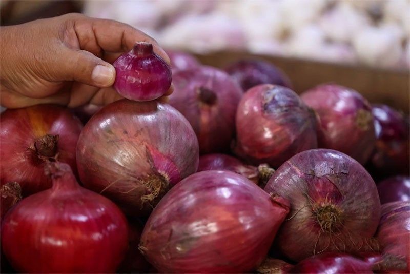 DA: Suspension of onion imports depends on actual production