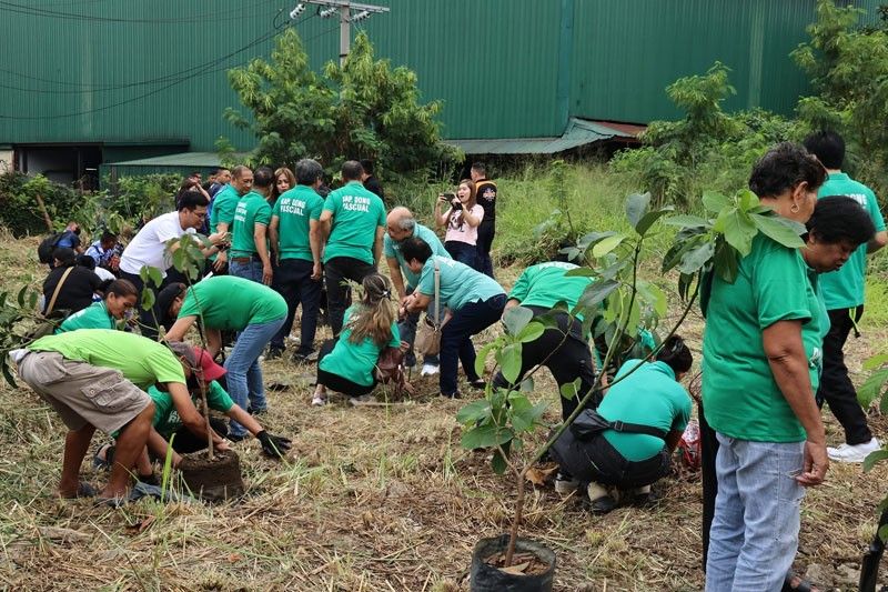 Quezon City now has 1,026 urban farms