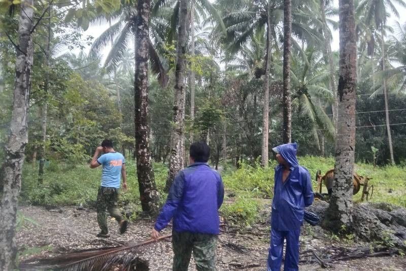 Agri damage from Caraga, Davao landslide hits P78 million