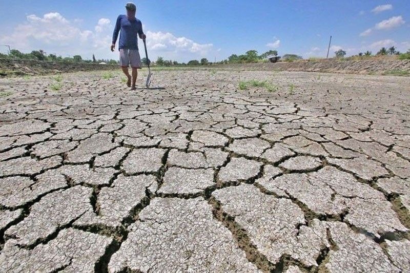 8 provinces experiencing drought due to El Niño | Philstar.com