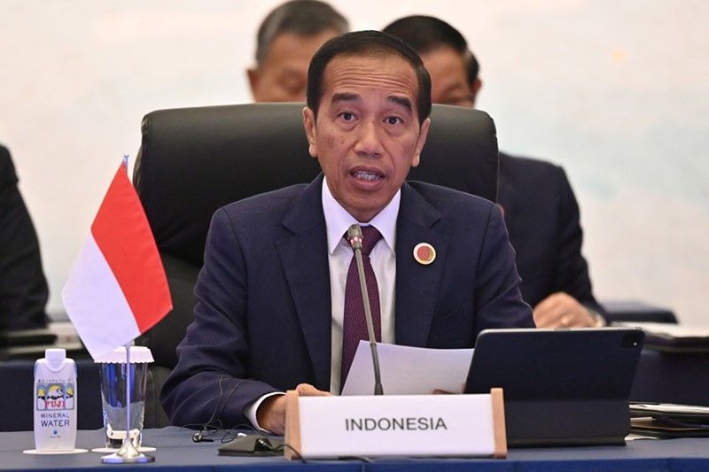 'Dynasty in the making' as Widodo's shadow hangs over Indonesia vote