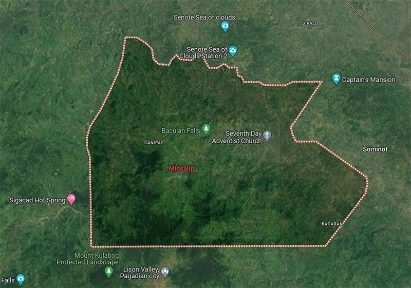 Zamboanga del Sur village chief hit by falling tree dies
