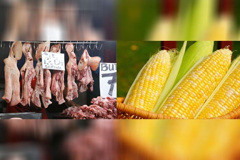 DA wants to suspend pork, corn MAV