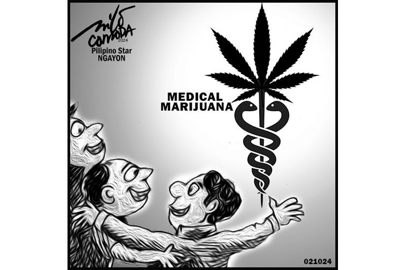 EDITORYAL - Medical marijuana