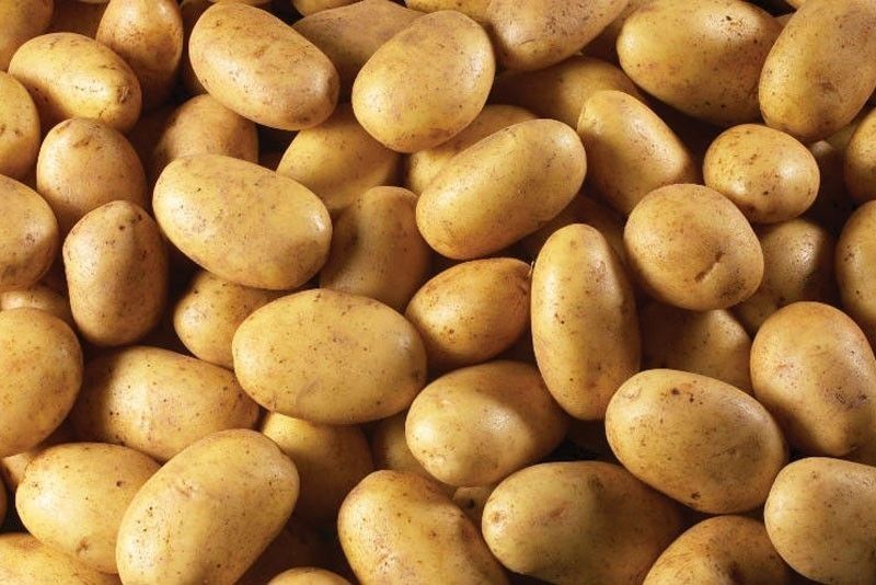 Government OKs higher 60,000 MT potato imports at lower tariff