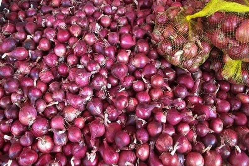 Farmgate price of red onions drops to P29/kilo