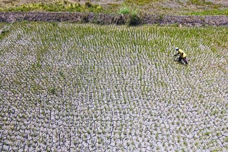 4 Central Luzon provinces under dry spell