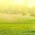 Over 100 golfers to strut stuff at PGT Q-School