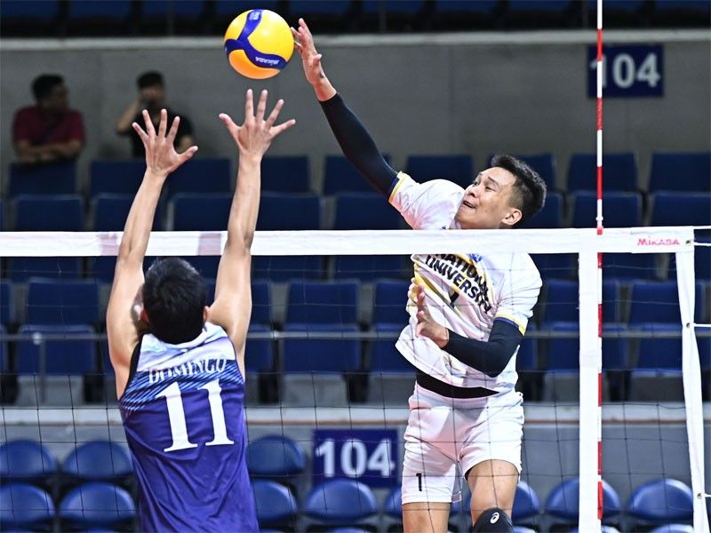 UAAP menâ��s volleyball: Bulldogs clip Falcons; Blue Eagles sweep Maroons