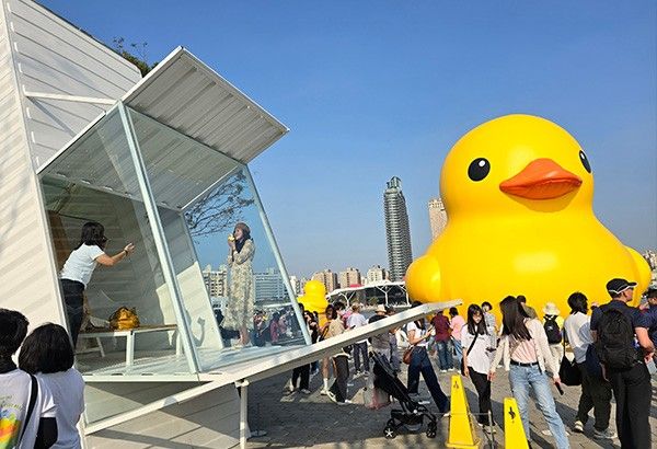 'Bibe' in Taiwan: Giant yellow rubber ducks land in Kaohsiung
