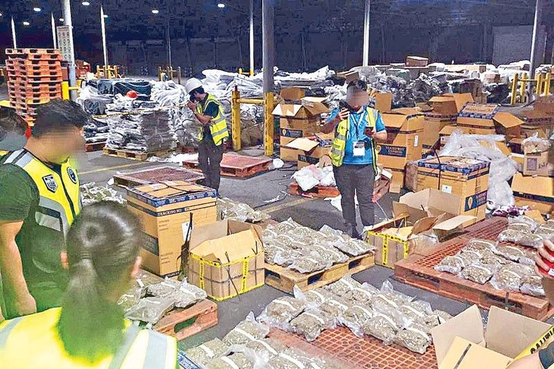 P76 million marijuana seized in MICP