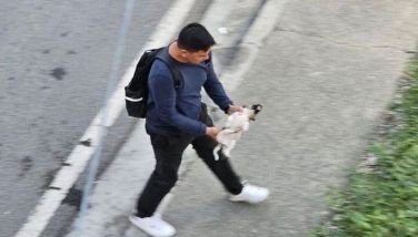 This picture shows a photo from Janine Santos&acirc;�� Facebook account posted on July 11, 2023 shows the puppy being rescued by a man after it was thrown off a footbridge by a mall guard.