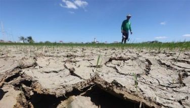 A farmer checks a portion of a dried rice field along Pulilan-Baliuag Bypass Road in Bulacan on February 26, 2024.